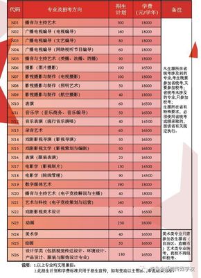 2019年中国传媒大学南广学院影视策划类专业招生简章